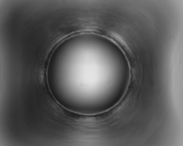 X0000089891260200707121825