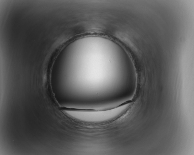 X0000089891261200707121825