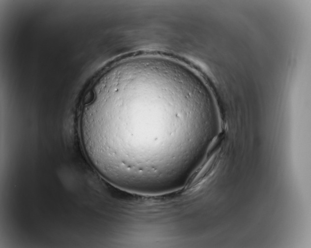 X0000089891263200707121825