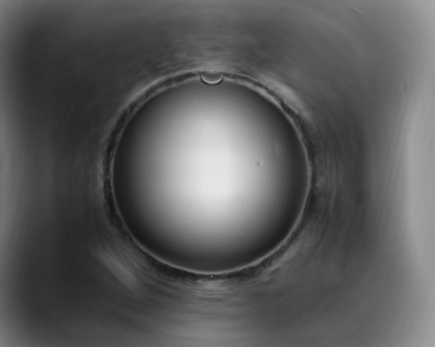 X0000089891264200707121825