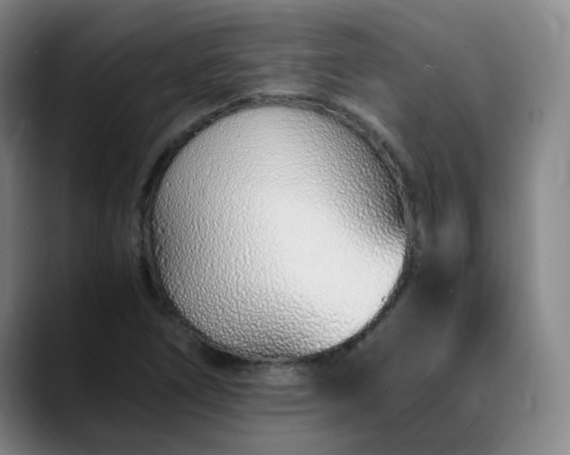 X0000089891266200707121825