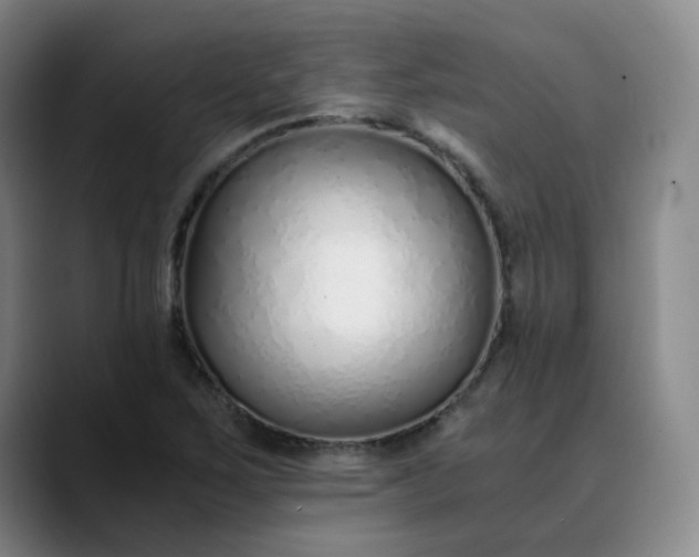 X0000089891267200707121825