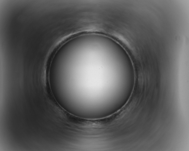 X0000089891270200707121825