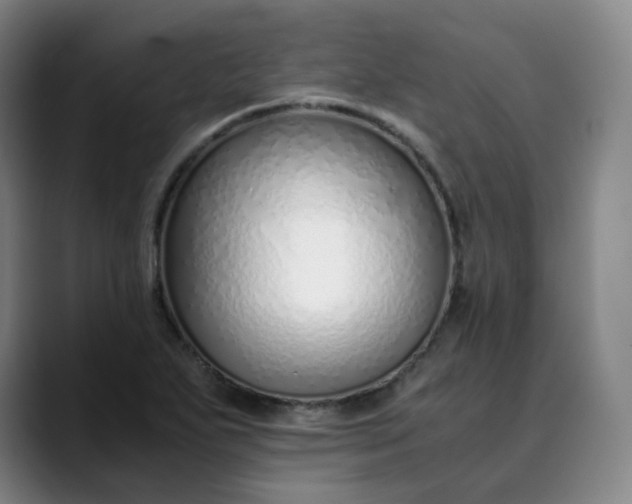 X0000089891271200707121824