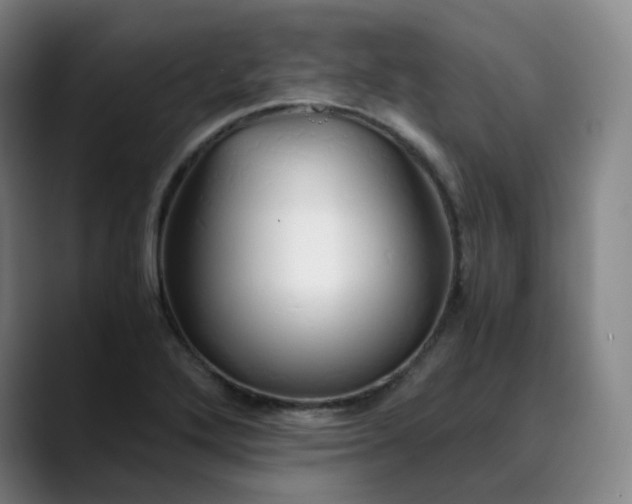 X0000089891272200707121824