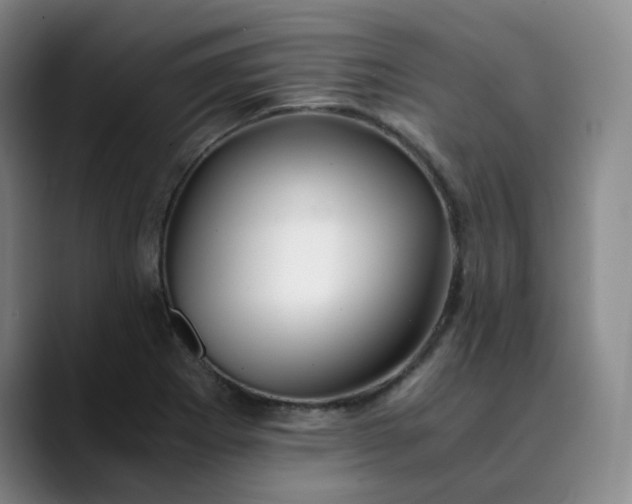 X0000089891273200707121824