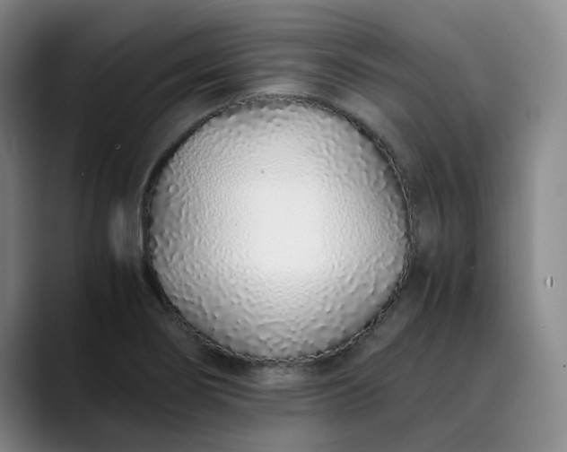 X0000089891274200707121824