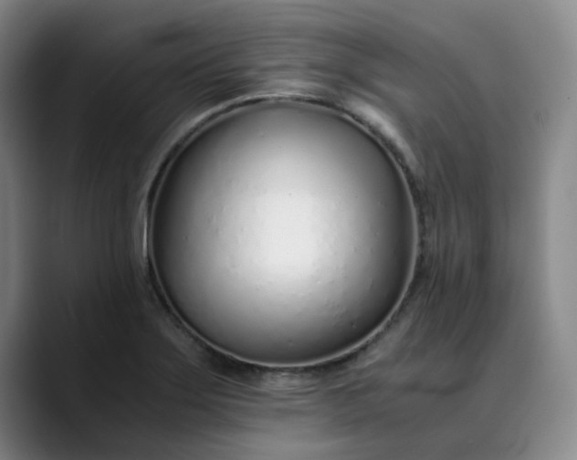 X0000089891275200707121824