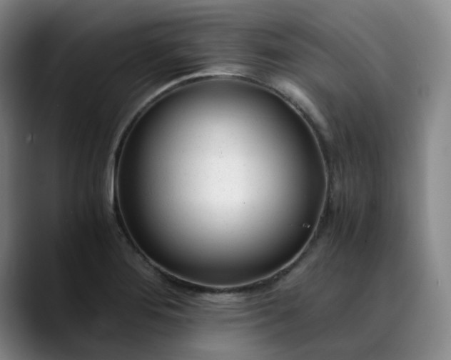 X0000089891276200707121824