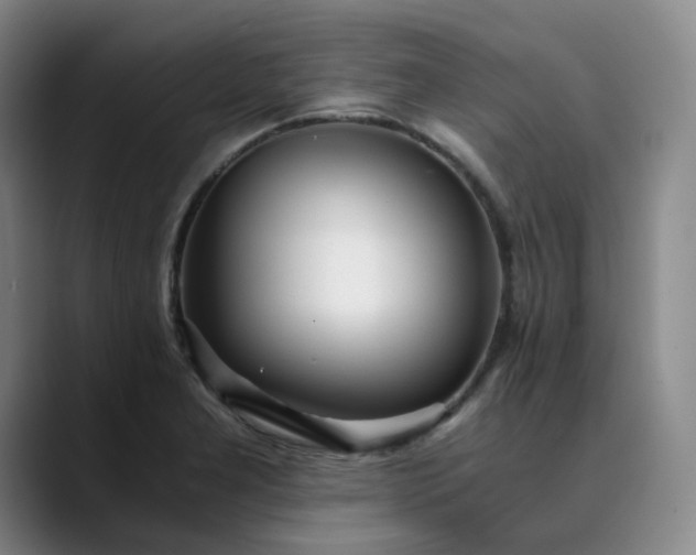 X0000089891277200707121824