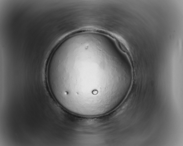 X0000089891279200707121824