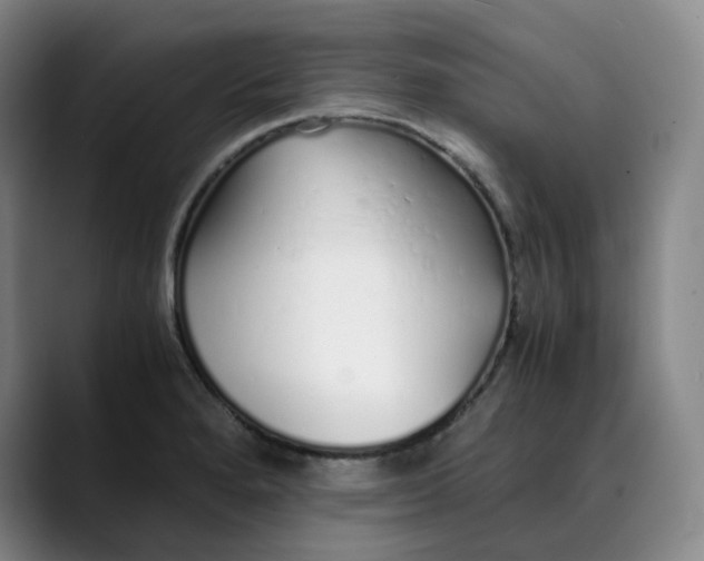 X0000089891280200707121824