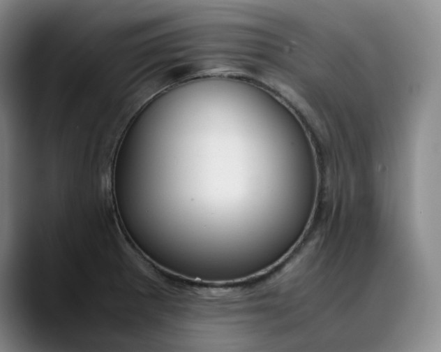 X0000089891281200707121824