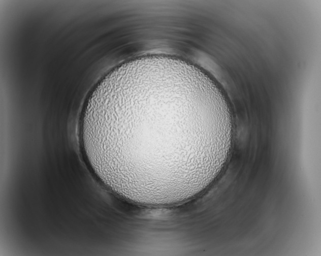 X0000089891282200707121824