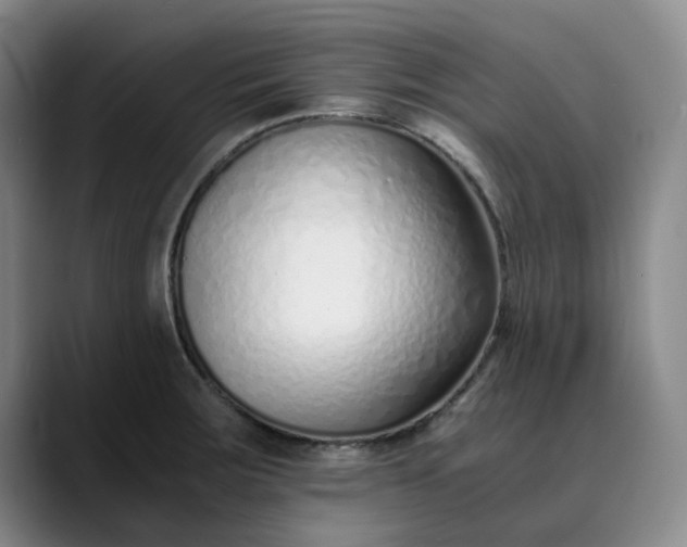 X0000089891283200707121824