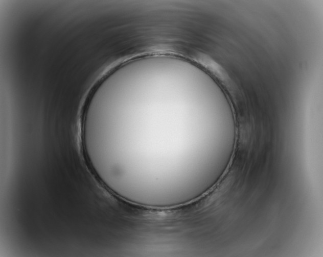 X0000089891286200707121824