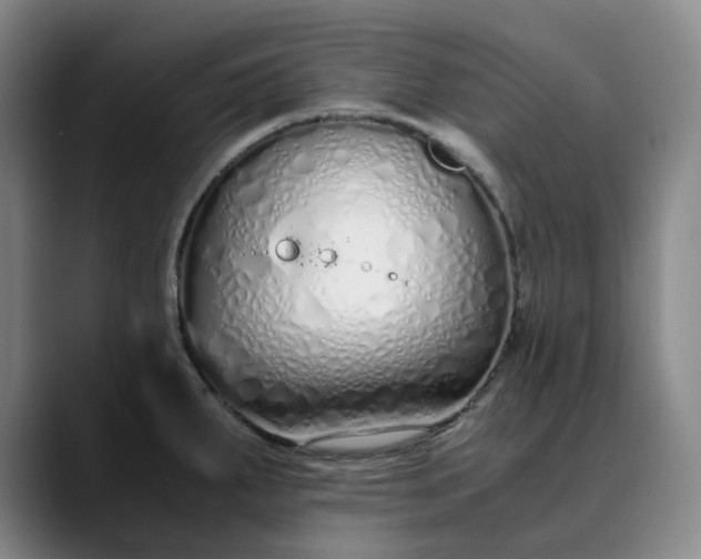 X0000089891287200707121824