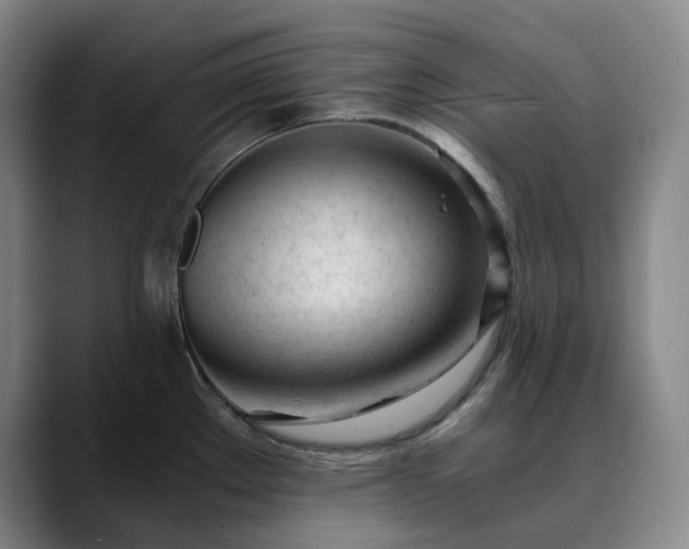 X0000089891289200707121824