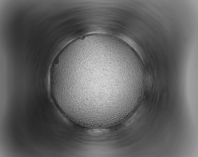 X0000089891290200707121824