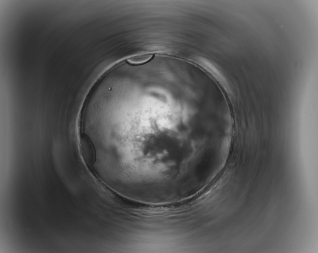 X0000089891291200707121824