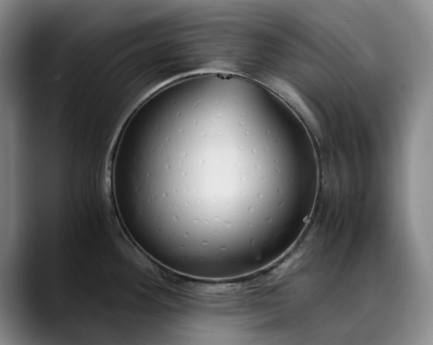 X0000089891292200707121824