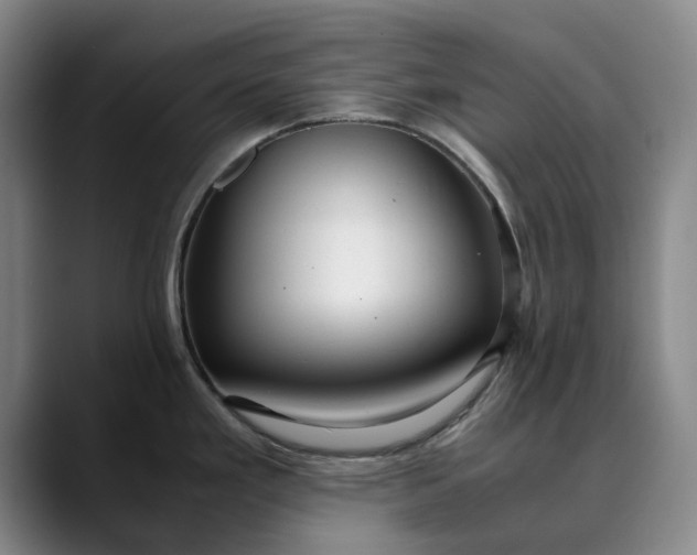 X0000089891293200707121824