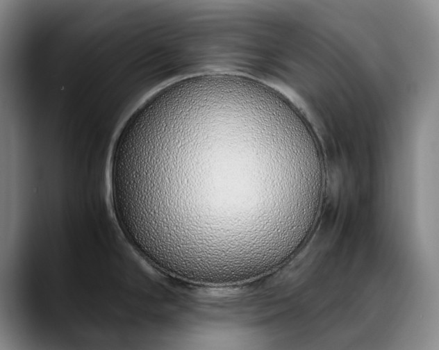 X0000089891294200707121824