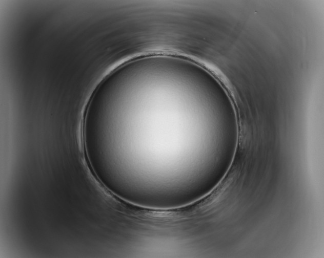 X0000089891295200707121824