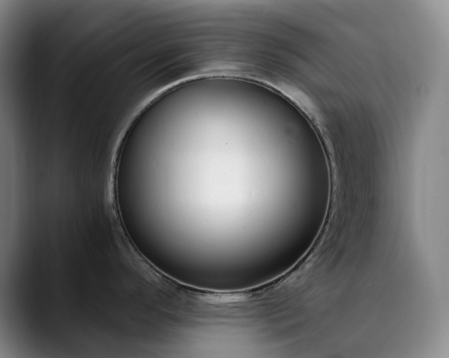 X0000089891296200707121824