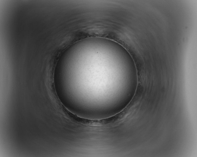 X0000089891297200707121823