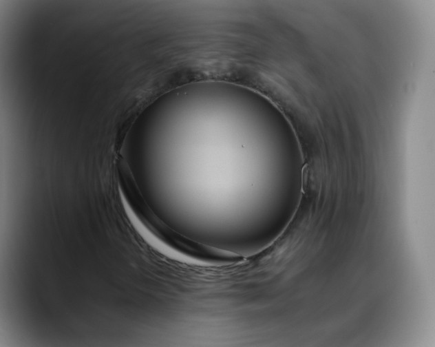 X0000089891298200707121823