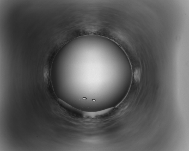 X0000089891299200707121823