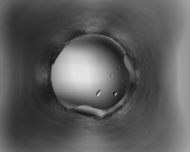 X0000089891300200707121823