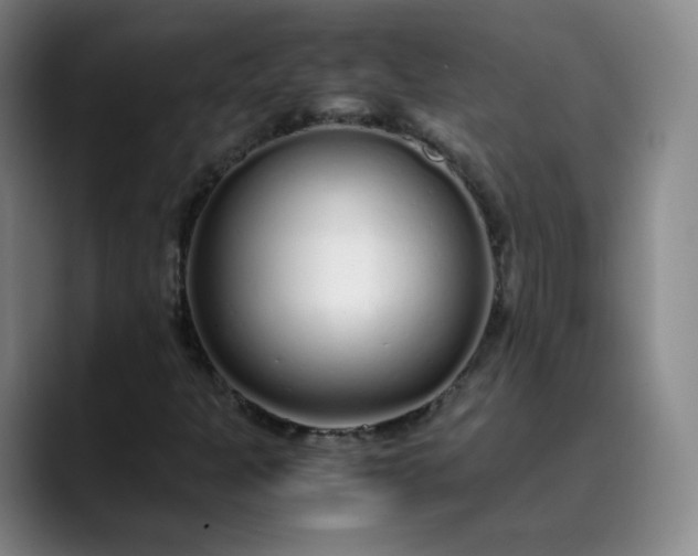 X0000089891301200707121824