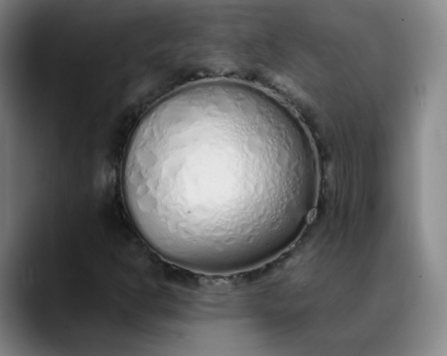 X0000089891302200707121824