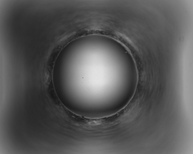 X0000089891303200707121824