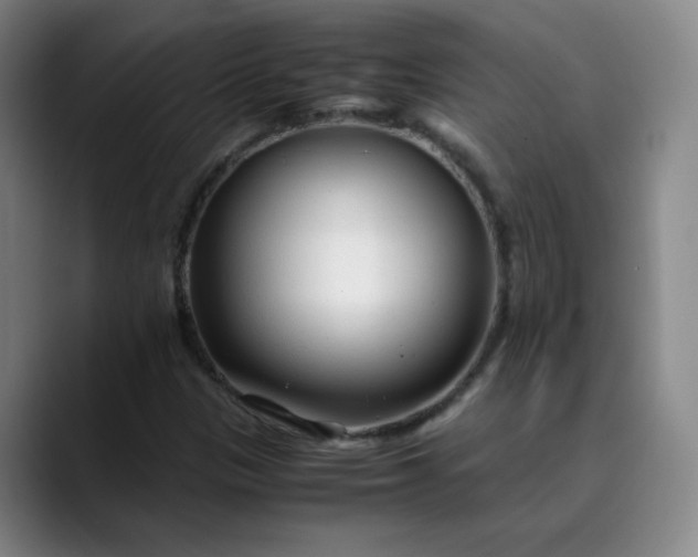 X0000089891305200707121824