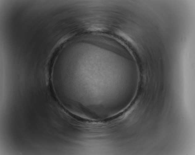 X0000089891306200707121824