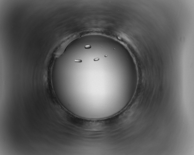 X0000089891307200707121824