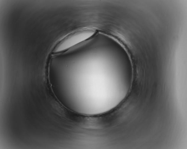 X0000089891308200707121824