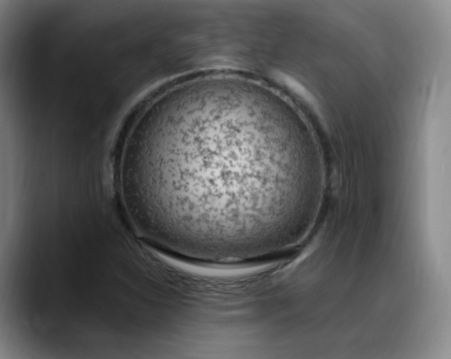 X0000089891310200707121824
