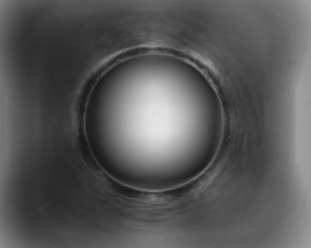 X0000089891311200707121824