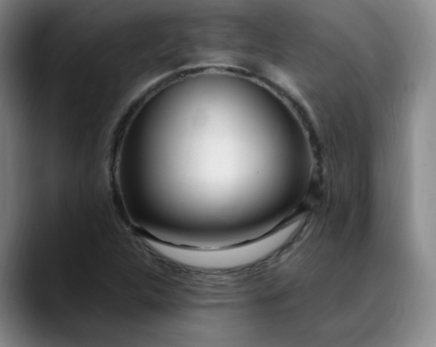 X0000089891312200707121824