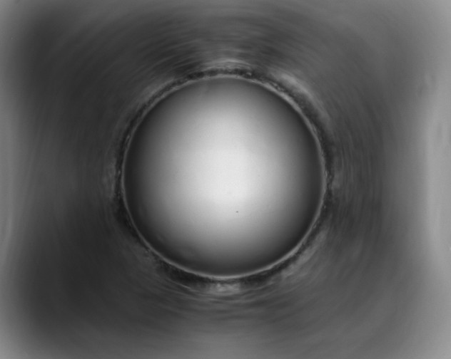 X0000089891313200707121824