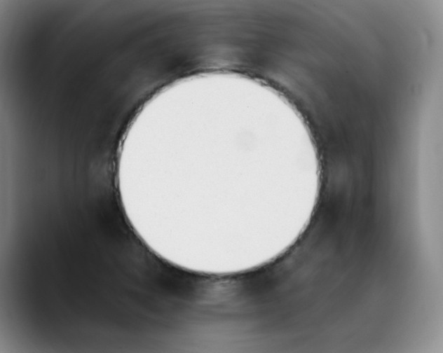 X0000089891314200707121824