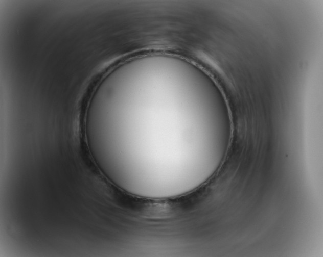 X0000089891315200707121824