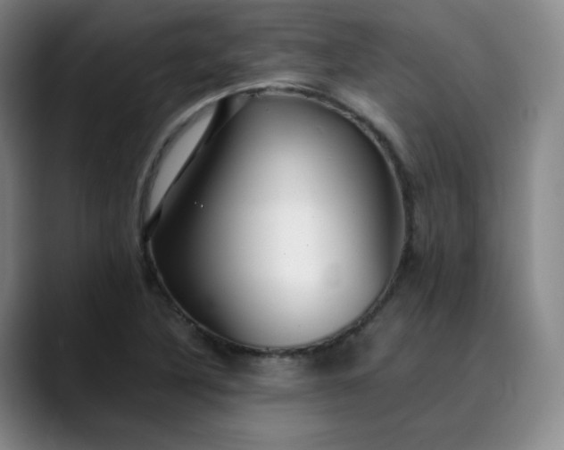 X0000089891316200707121824