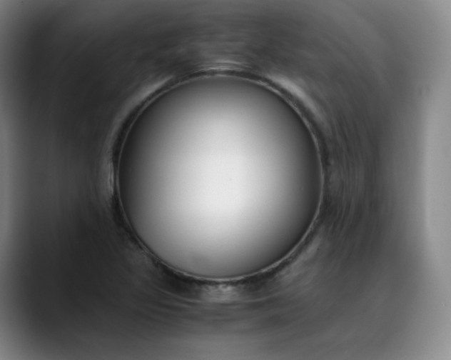 X0000089891317200707121824