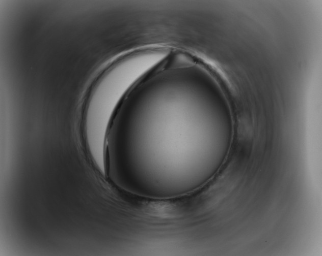 X0000089891319200707121824