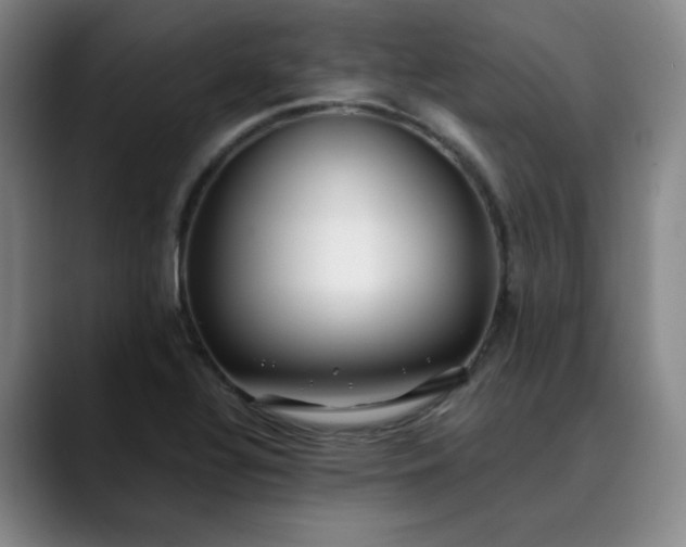 X0000089891320200707121824